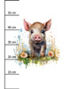 WATERCOLOR PIGGY - panel (60cm x 50cm)