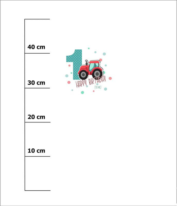 1. GEBURTSTAG / TRAKTOR - SINGLE JERSEY PANEL