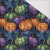 HALLOWEEN WZ. 53 - Hydrophobic brushed knit
