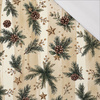 CHRISTMAS STRIPES WZ.1 - single jersey