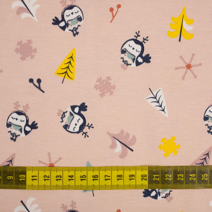 WINTERSPATZEN / Lachs - Single Jersey TE210