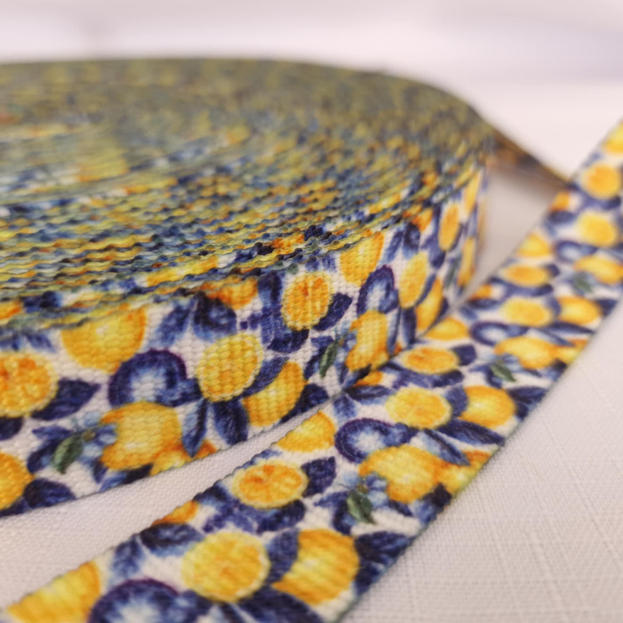 Webbing Tape with Print 25mm - Tutti Frutti wz. 16