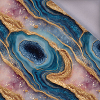 Gilded Glamour wz. 4 - softshell