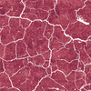SCORCHED EARTH (white) / ACID WASH (maroon) - lycra 300g
