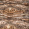 TREE RING pat. 1 (PHOTOGRAPHIC BACKGROUND) - Waterproof woven fabric