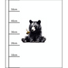 BEAR WZ. 2 - panel (60cm x 50cm) SINGLE JERSEY