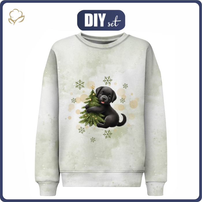 CHILDREN'S (NOE) SWEATSHIRT - WINTER ANIMALS WZ. 10 - sewing set