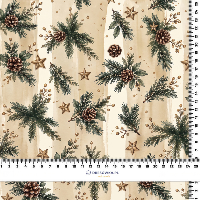 CHRISTMAS STRIPES WZ.1