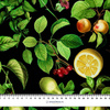 PARADISE FRUITS pat. 3 (PARADISE GARDEN)  - Waterproof woven fabric