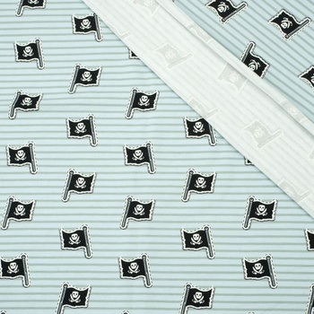 FLAG / pirates - light blue - single jersey TE210