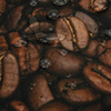 COFFEE BEANS - Waterproof woven fabric