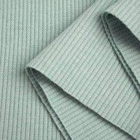 Rib Jersey fabric Unicolour - MODERN MINT (D-174)