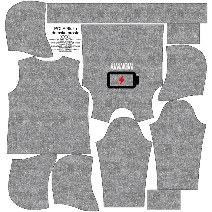 CLASSIC DAMEN HOODIE (POLA) - BATTERIE - Sommersweat - XXXL