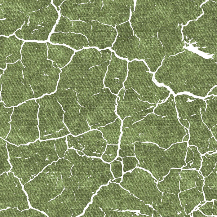 SCORCHED EARTH (white) / ACID WASH (olive) - single jersey with elastane