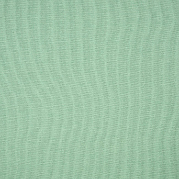 D-696 MINT - t-shirt with elastan TE210