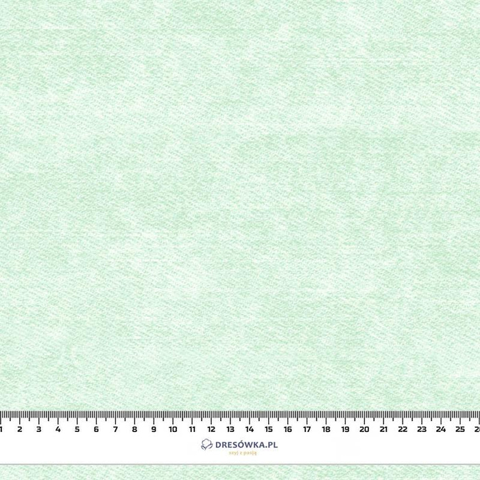 VINTAGE LOOK JEANS (mint) - looped knit fabric