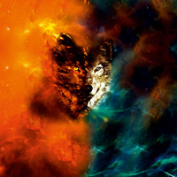 WOLF / Galaxis - Paneel (60cm x 50cm)