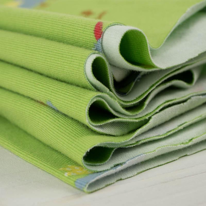 ŠEDÍ PTÁČCI/ limetkový - single jersey 