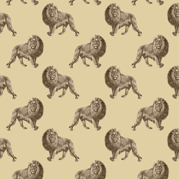 LIONS (SAFARI)