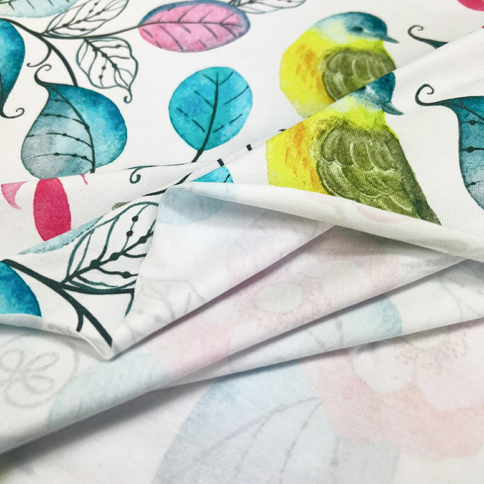 BIRDS & FLOWERS / pink lemonade - Bio Single Jersey Sommersweat