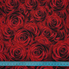 ROSEN - Softshell