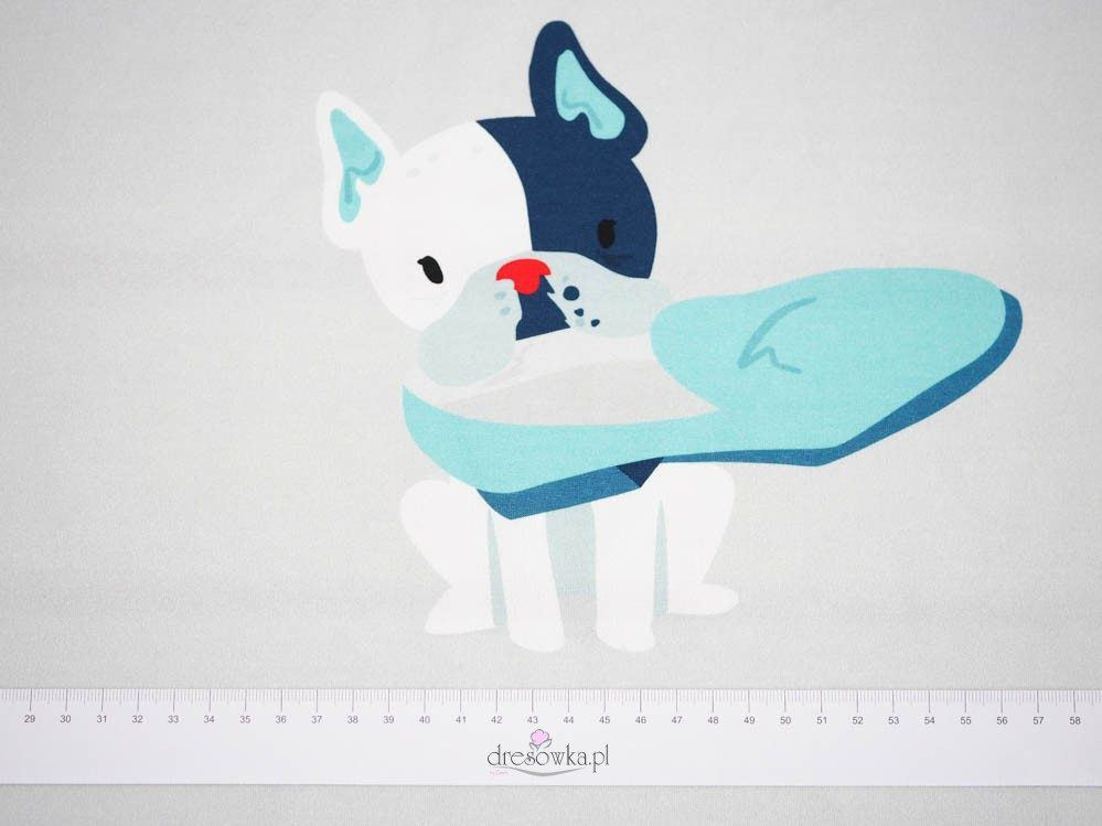 Pies z butem (J'adore Paris) / aqua - panel single jersey TE210