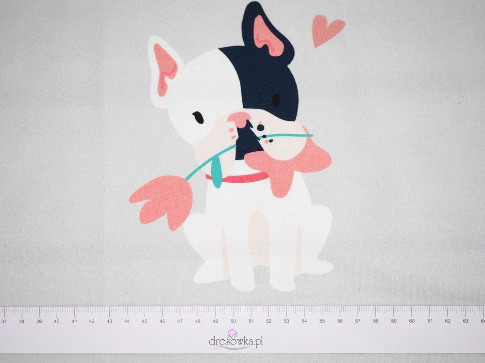 Pies z kwiatkiem  (J'adore Paris) / brzoskwiniowy - panel single jersey TE210