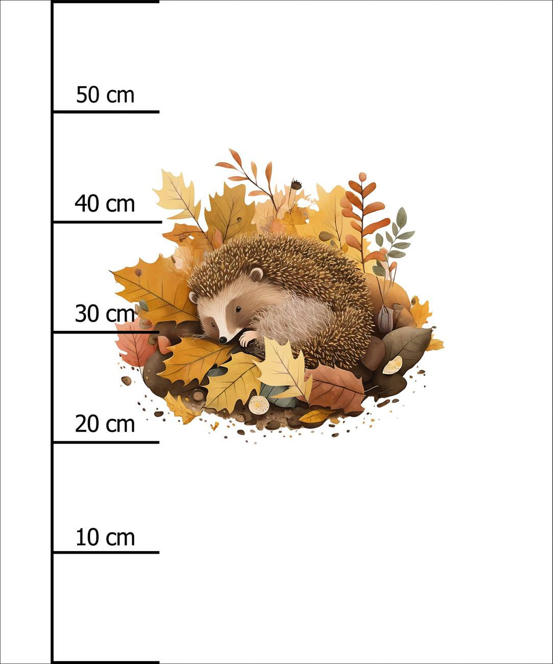 SLEEPING HEDGEHOG - PANEL (60cm x 50cm) tkanina bawełniana