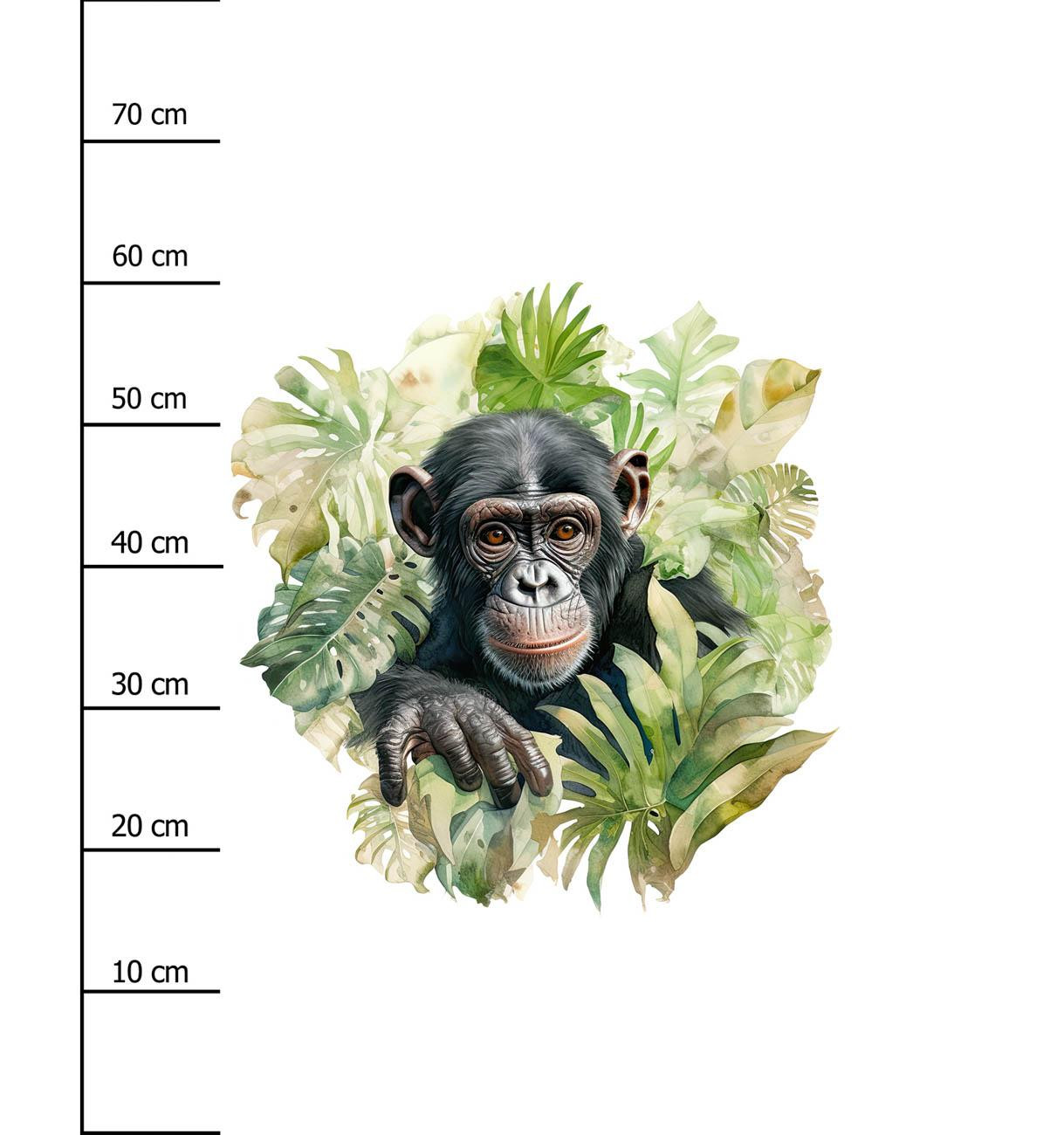 WATERCOLOR MONKEY - panel (75cm x 80cm) SINGLE JERSEY