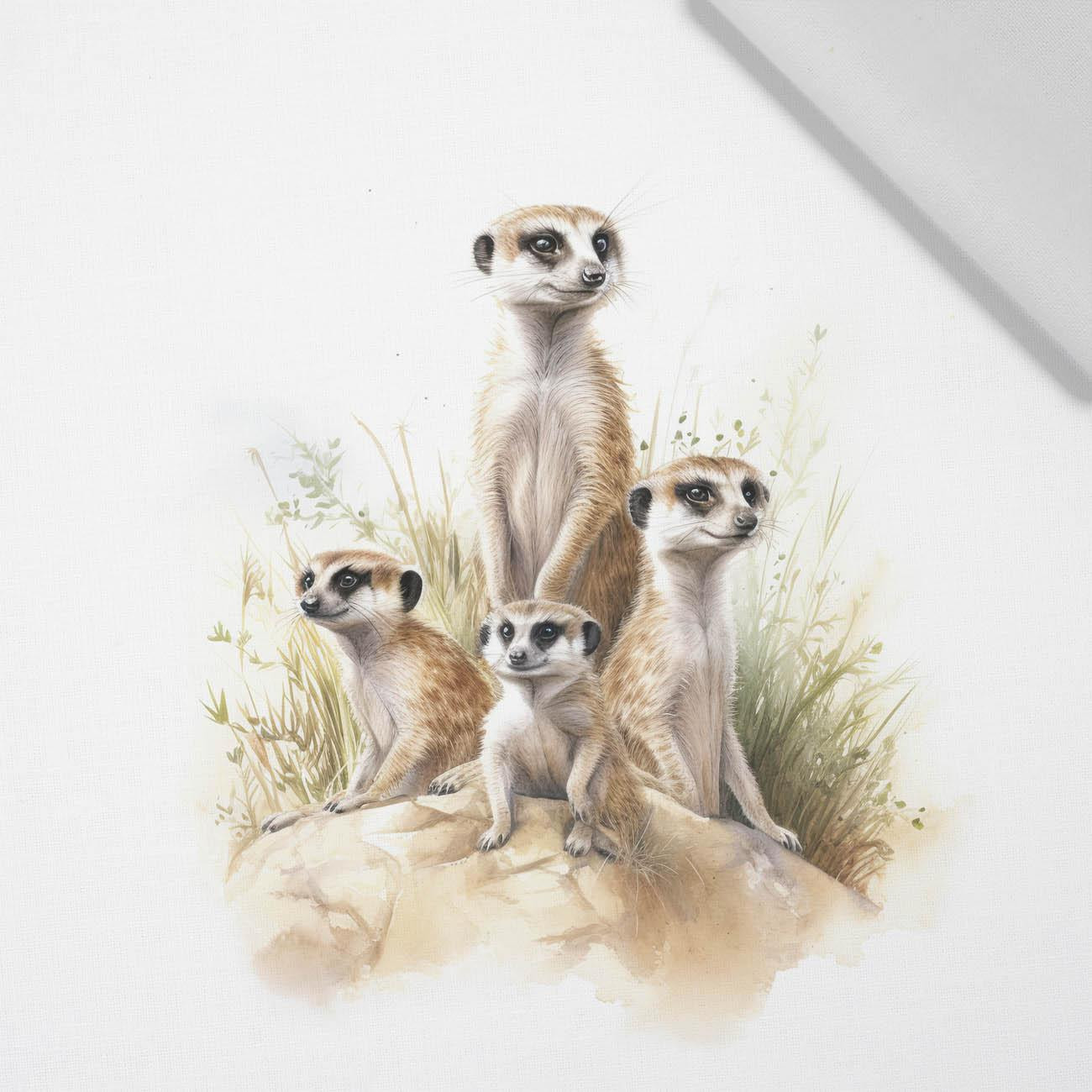 WATERCOLOR MEERKAT - PANEL (60cm x 50cm) tkanina bawełniana