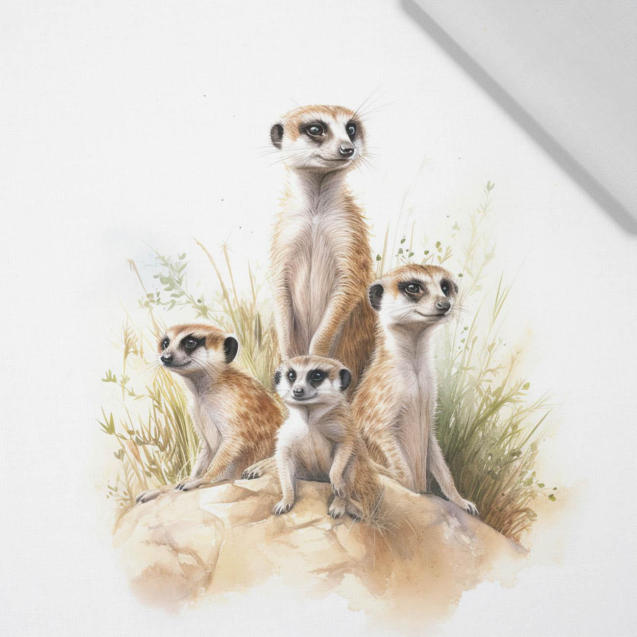 WATERCOLOR MEERKAT - panel (75cm x 80cm) tkanina bawełniana