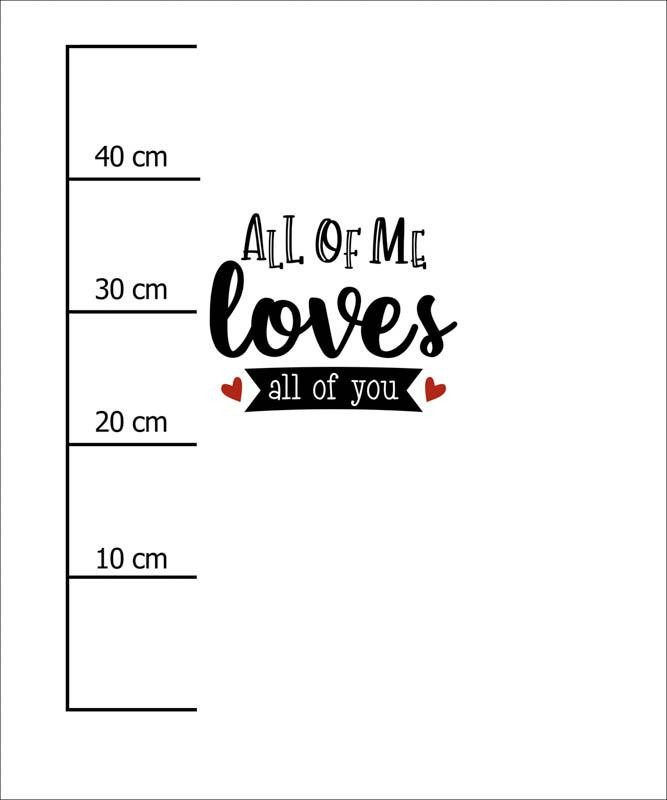 ALL OF ME LOVES ALL OF YOU (BE MY VALENTINE) / M-01 melanż jasnoszary - panel dzianina pętelkowa 50cm x 60cm