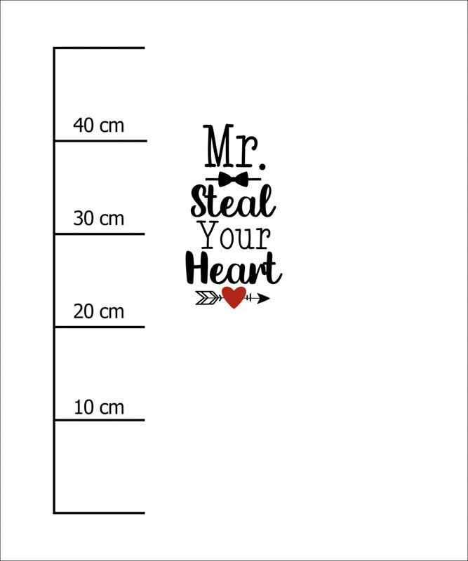 MR. STEAL YOUR HEART (BE MY VALENTINE) - panel dzianina pętelkowa 50cm x 60cm