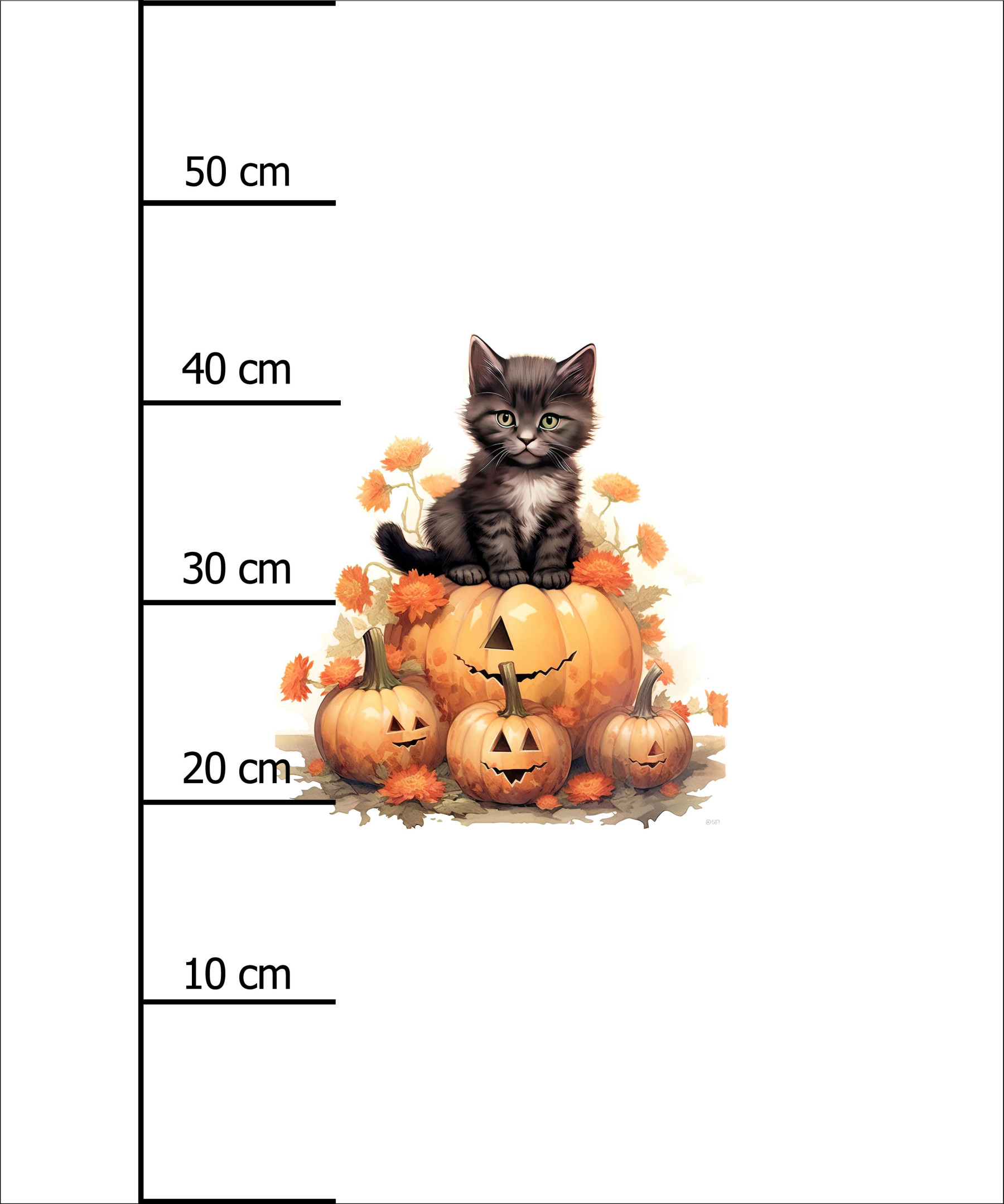 HALLOWEEN CAT - PANEL (60cm x 50cm) SINGLE JERSEY