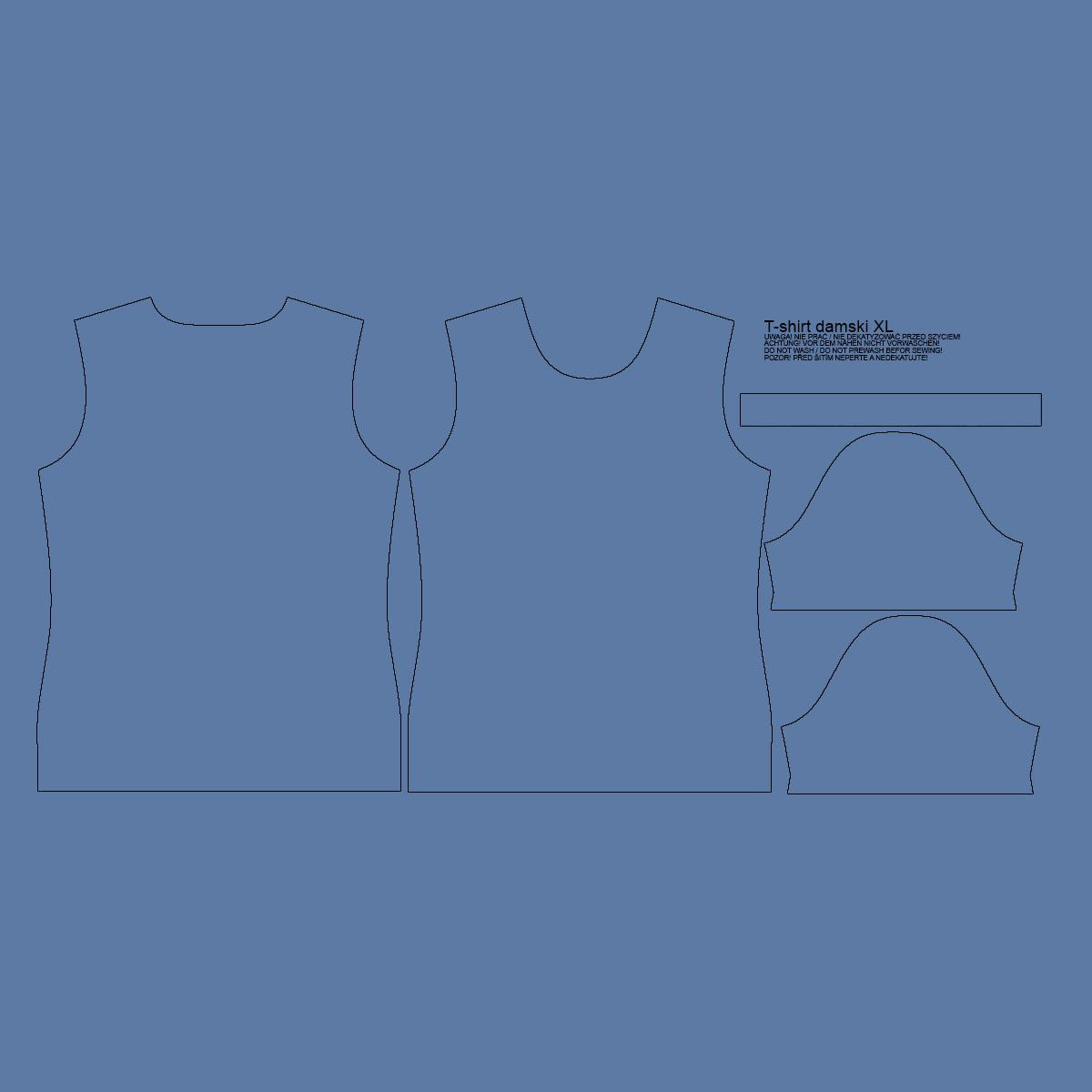 T-SHIRT DAMSKI - B-26 - RIVERSIDE / niebieski pudrowy - single jersey
