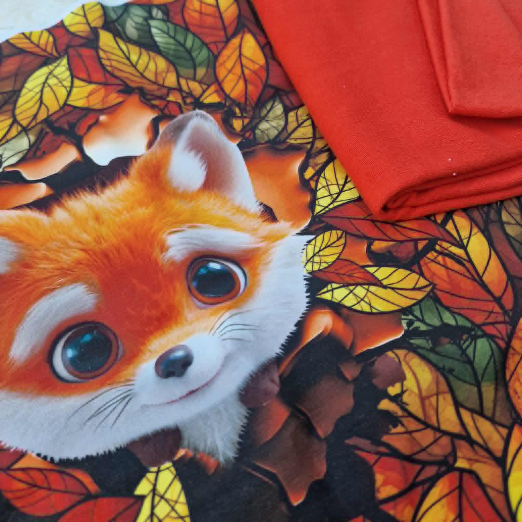 PAKIET dresówka pętelkowa WZ.29