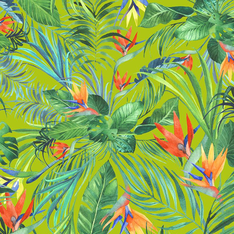 RAJSKA DŻUNGLA / WILD JUNGLE (MONSTERA)/ zielony