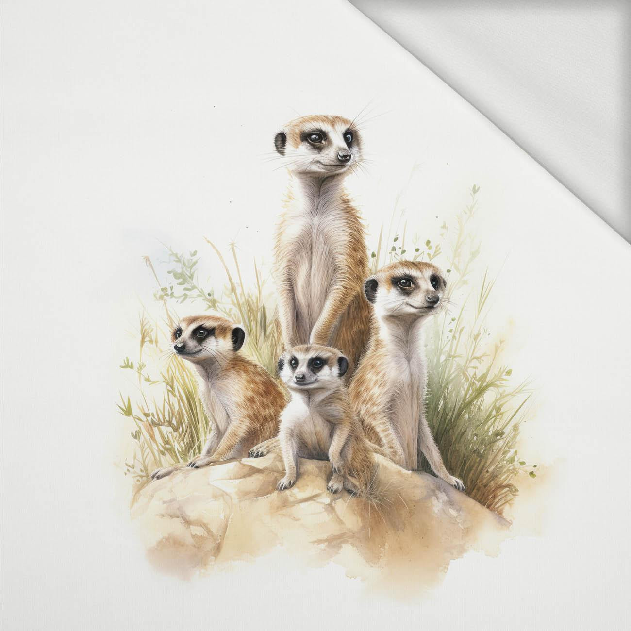 WATERCOLOR MEERKAT - panel (60cm x 50cm) dzianina pętelkowa