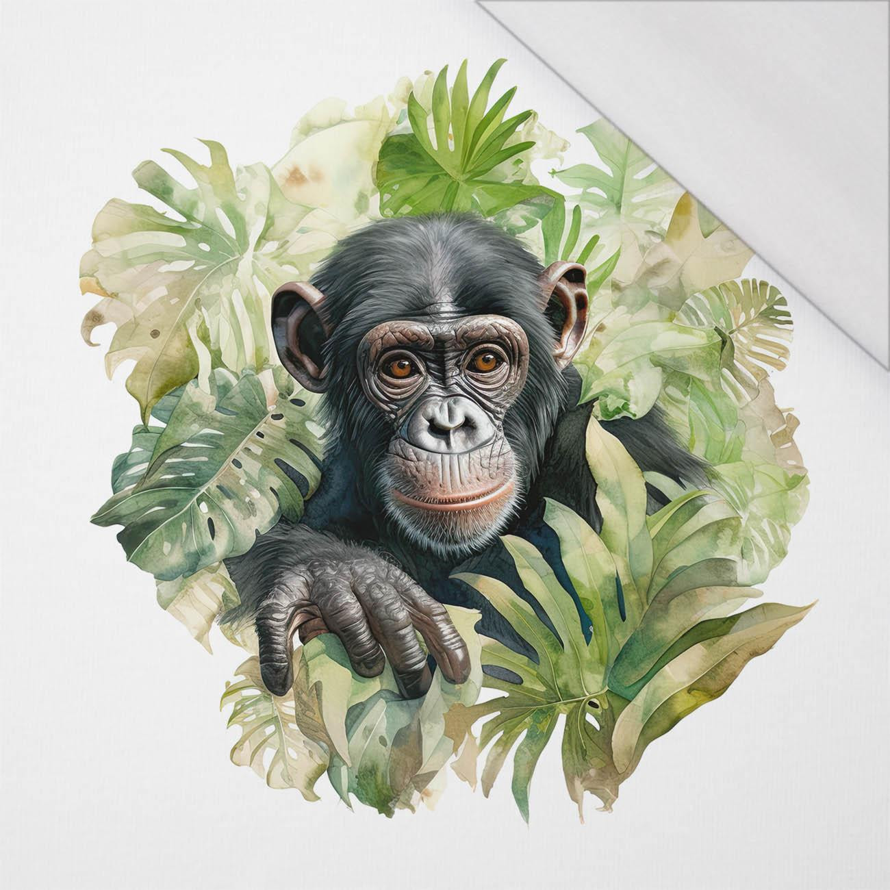 WATERCOLOR MONKEY - panel (75cm x 80cm) SINGLE JERSEY