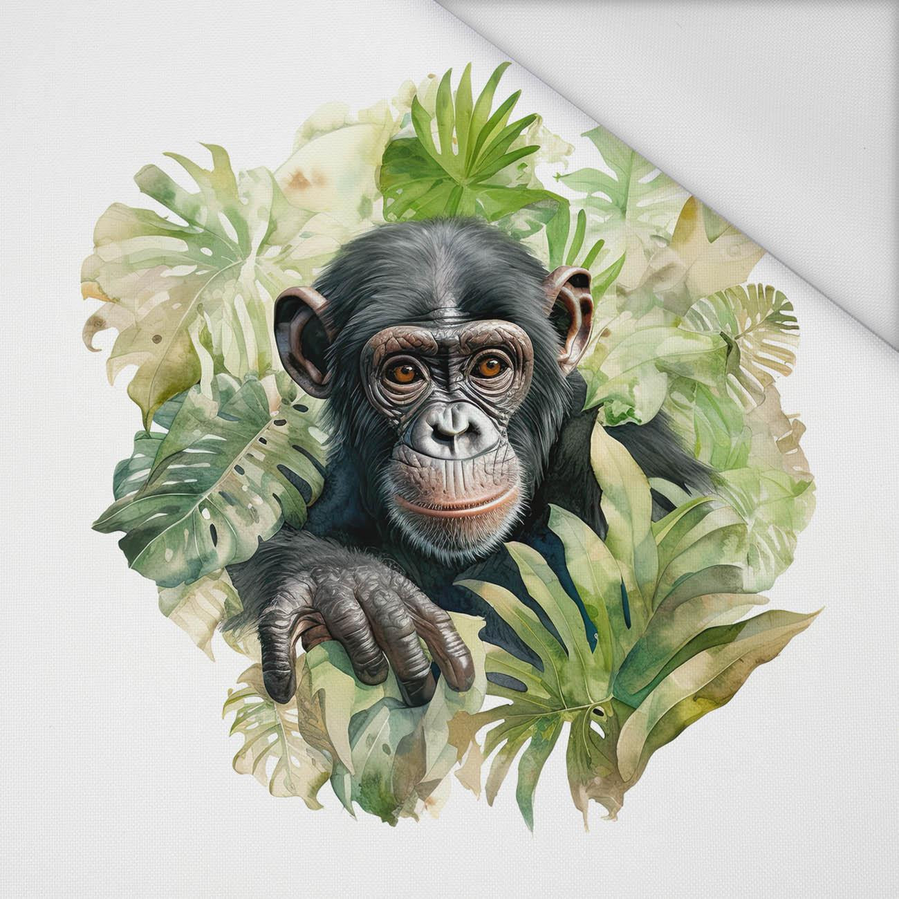 WATERCOLOR MONKEY - PANEL (75cm x 80cm) tkanina wodoodporna