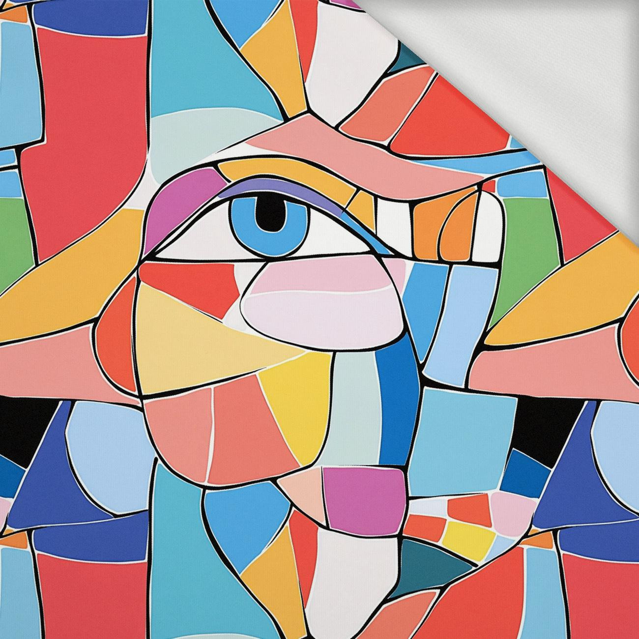 EYES WZ.6 - dresówka pętelkowa