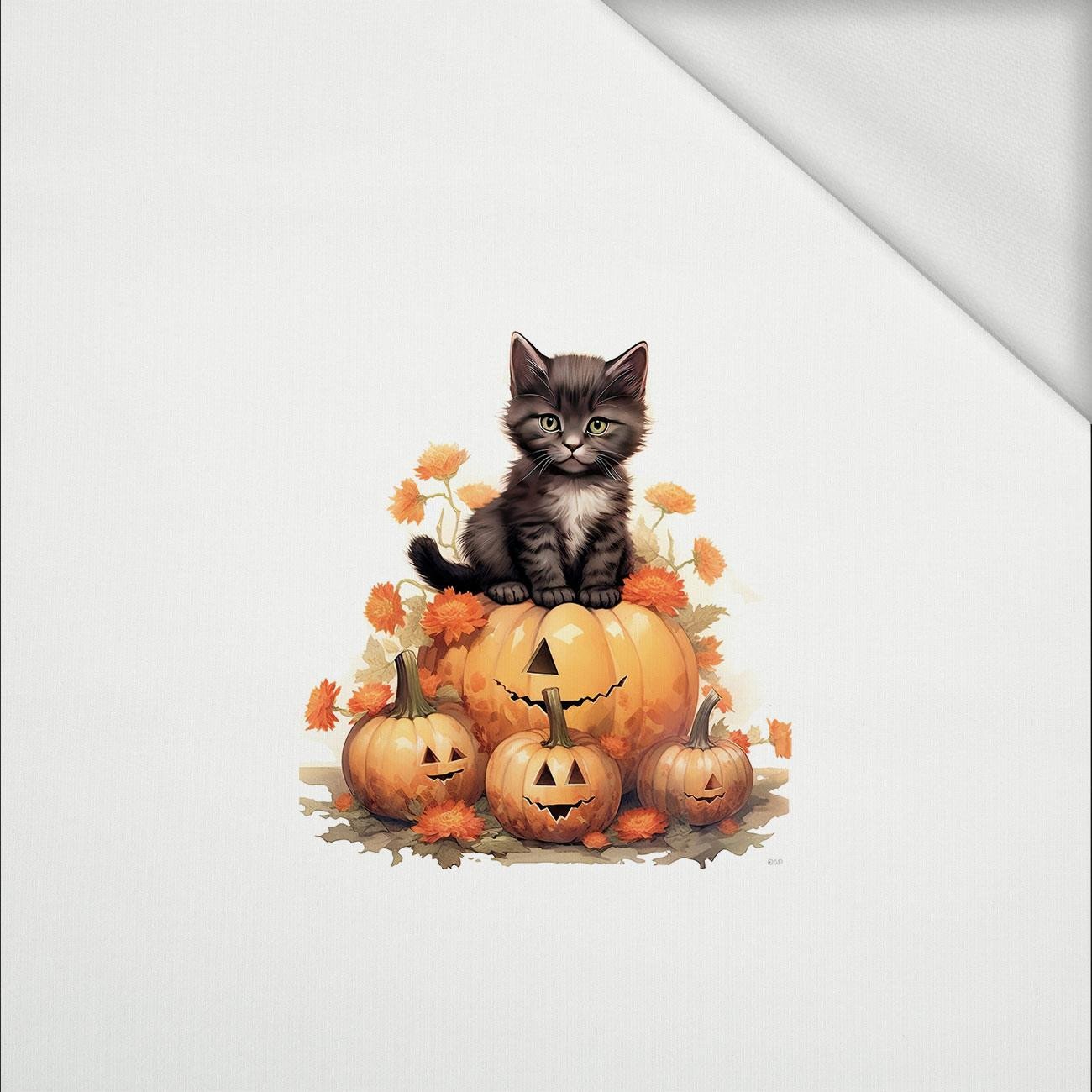 HALLOWEEN CAT - PANEL (60cm x 50cm) dzianina pętelkowa