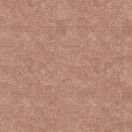 ACID WASH /Mocha Mousse