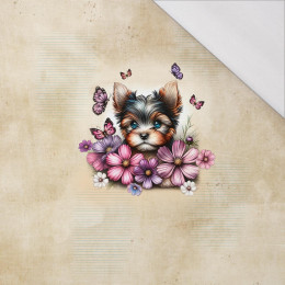 ANIMALS CUTE wz.12 - panel (60cm x 50cm) SINGLE JERSEY
