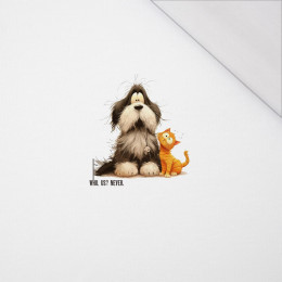 ANIMALS CUTE wz.18 - panel (60cm x 50cm) SINGLE JERSEY