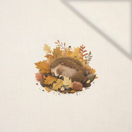 SLEEPING HEDGEHOG - panel (40cm x 40cm) Len 100%