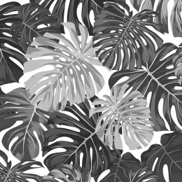MONSTERA 2.0 / JUNGLE czarno - biała