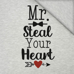 MR. STEAL YOUR HEART (BE MY VALENTINE) / M-01 melanż jasnoszary  - PANEL SINGLE JERSEY 75cm x 80cm
