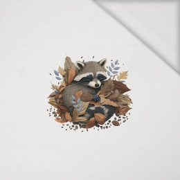 SLEEPING RACCOON - panel (40cm x 40cm) jersey wiskozowy 