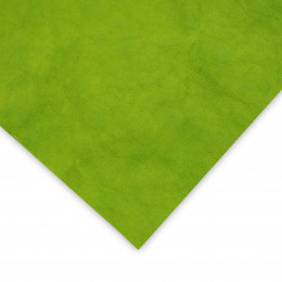 Washable Kraft Paper Kolor 18x28 - zielony S